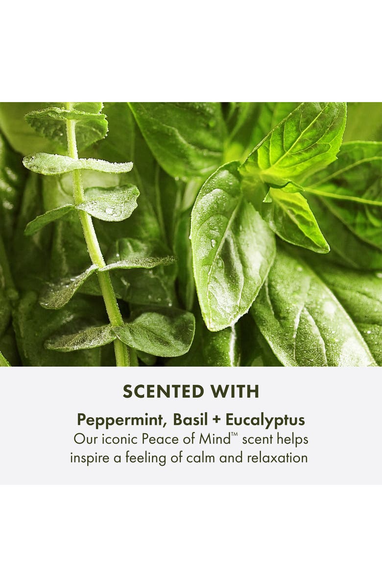 Origins Peace of Mind Essentials Trio Set, Alternate, color,