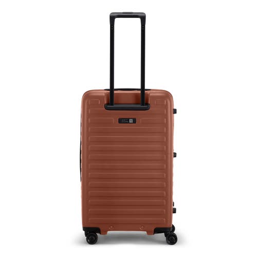 Lojel Cubo Fit Lite Check In Brown