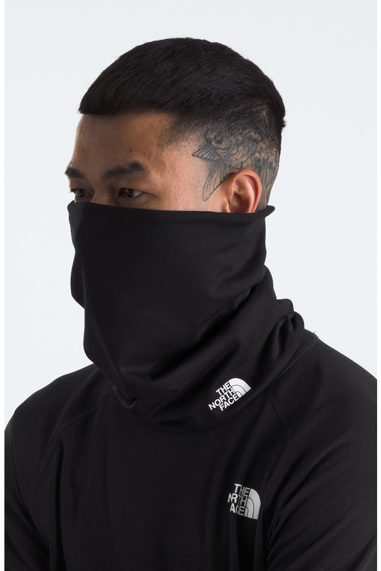 Base Lined Neck Gaiter, Alternate, color, TNF BLACK
