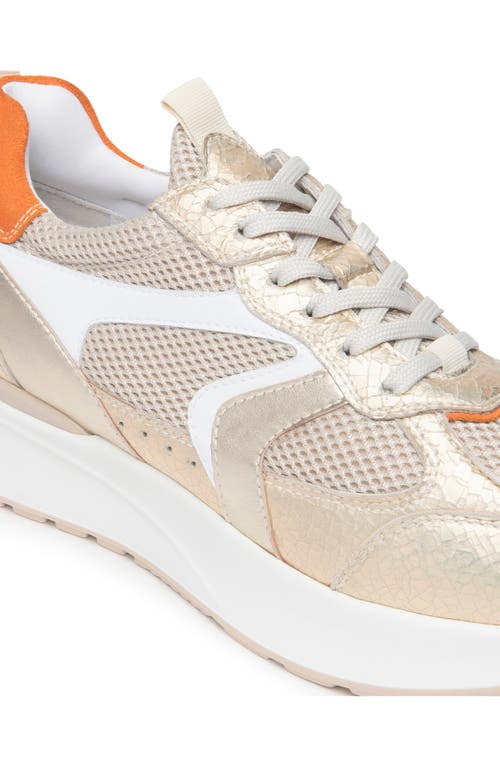 Nerogiardini Metallic Platform Sneaker In Gold/rust