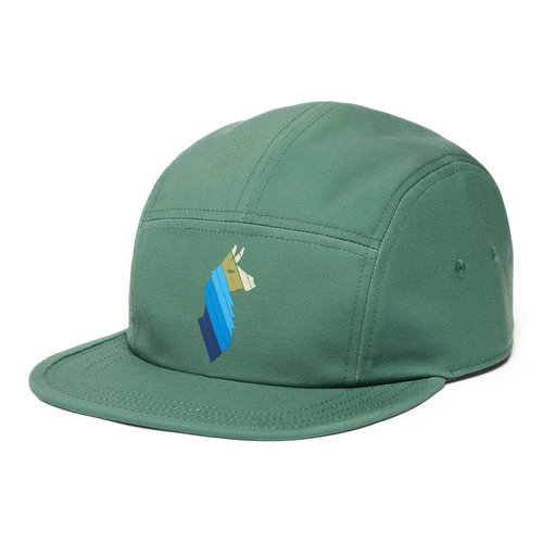 Cotopaxi Llama Stripes 5-panel Hat In Green