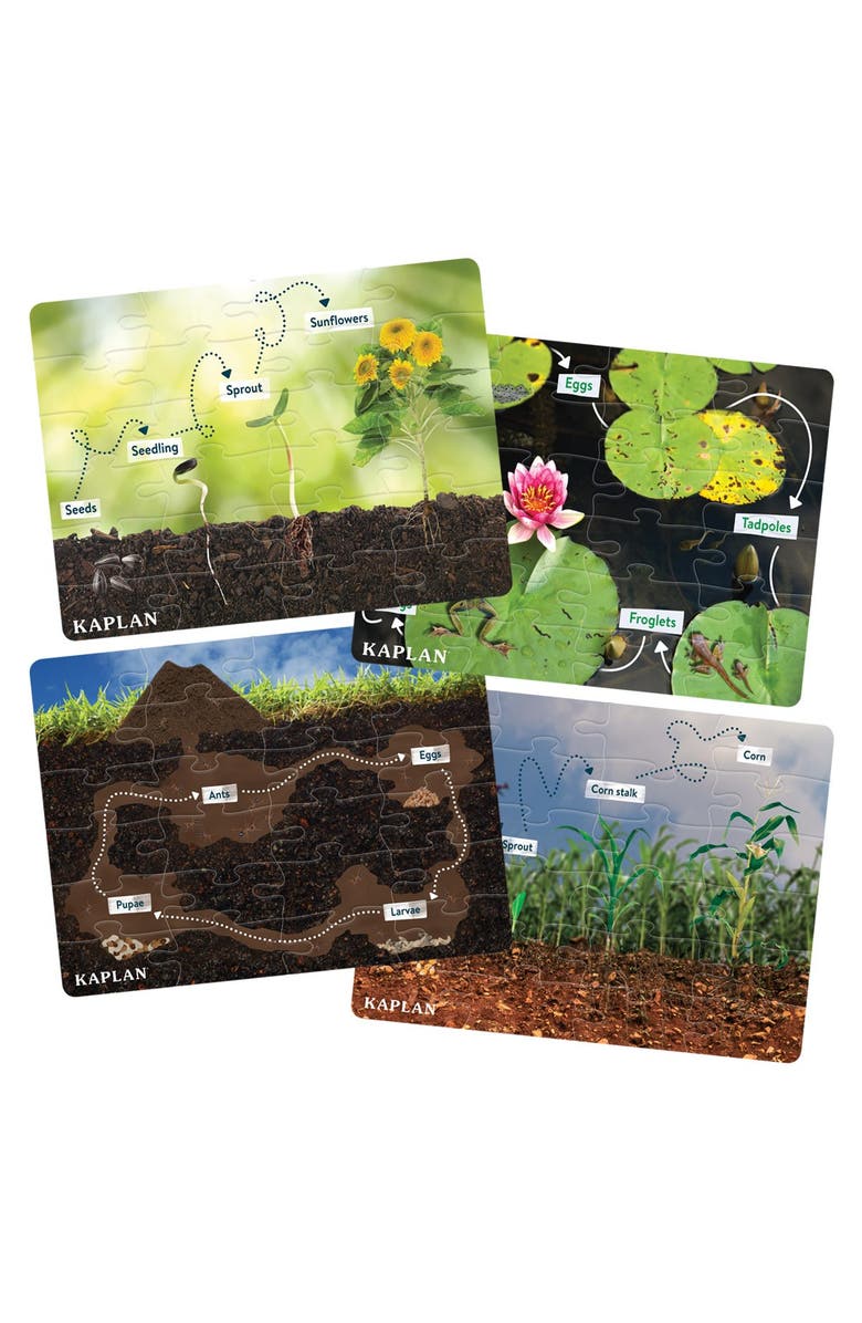 Kaplan Early Learning Company Realistic Animal and Plant Life Cycle Floor Puzzles - Set of 4, Main, color, Multicolored