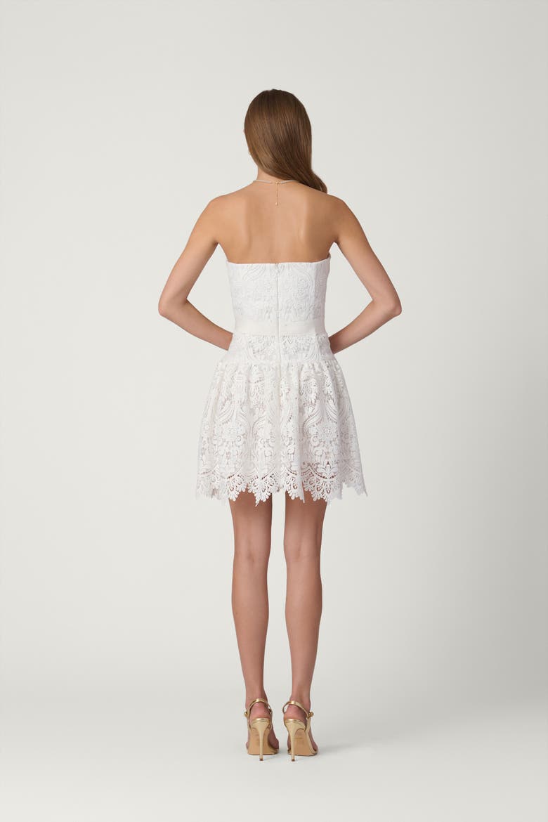 Midnight Medallion Lace Ester Dress, Alternate, color, Porcelain