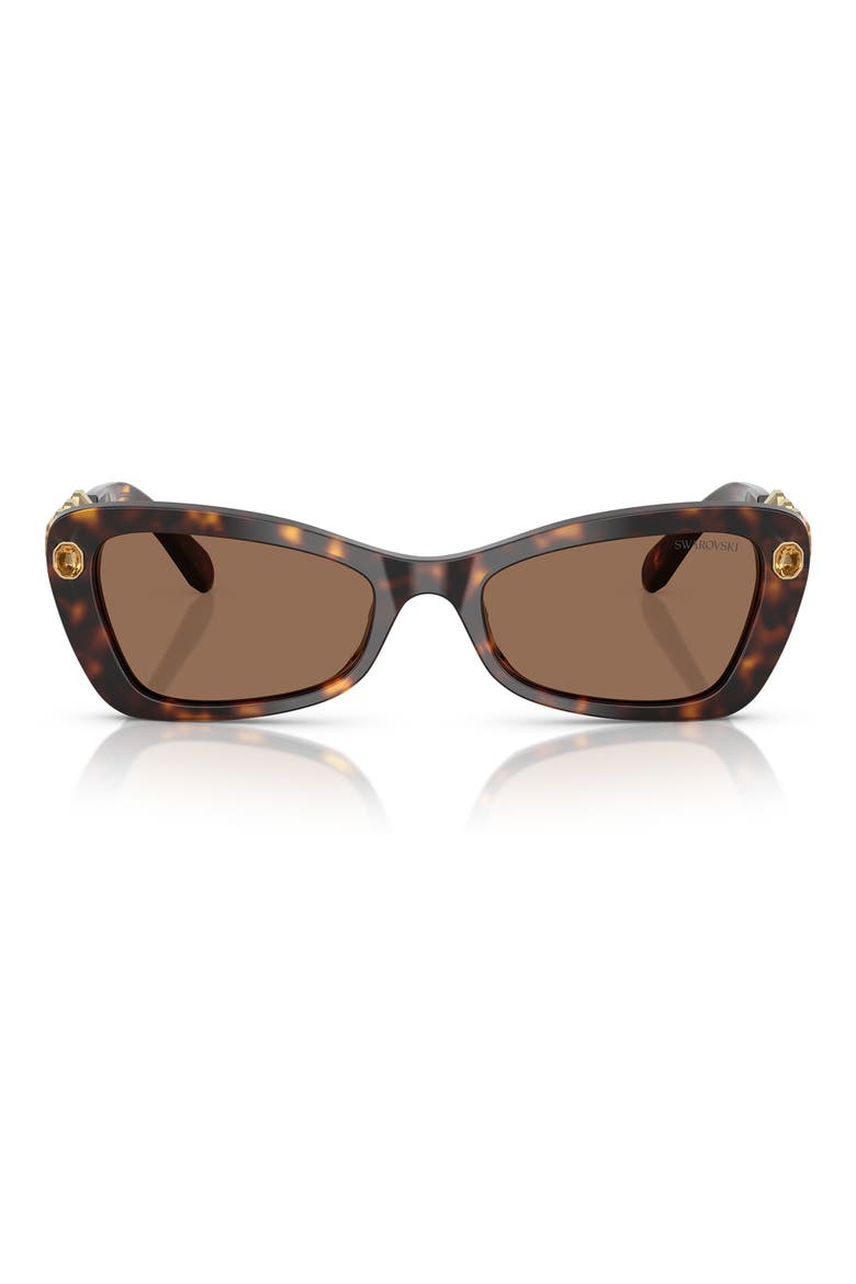54mm Irregular Sunglasses, Main, color, HAVANA