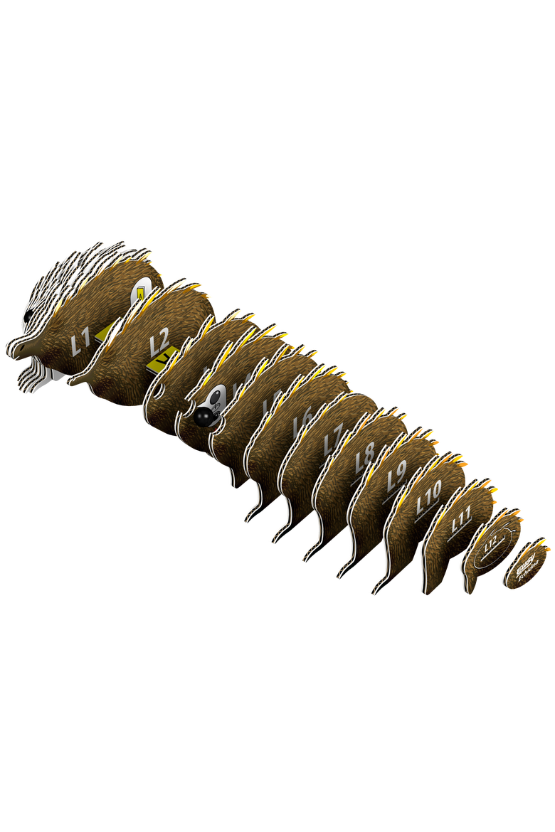Echidna 3D Puzzle, Alternate, color, No Color