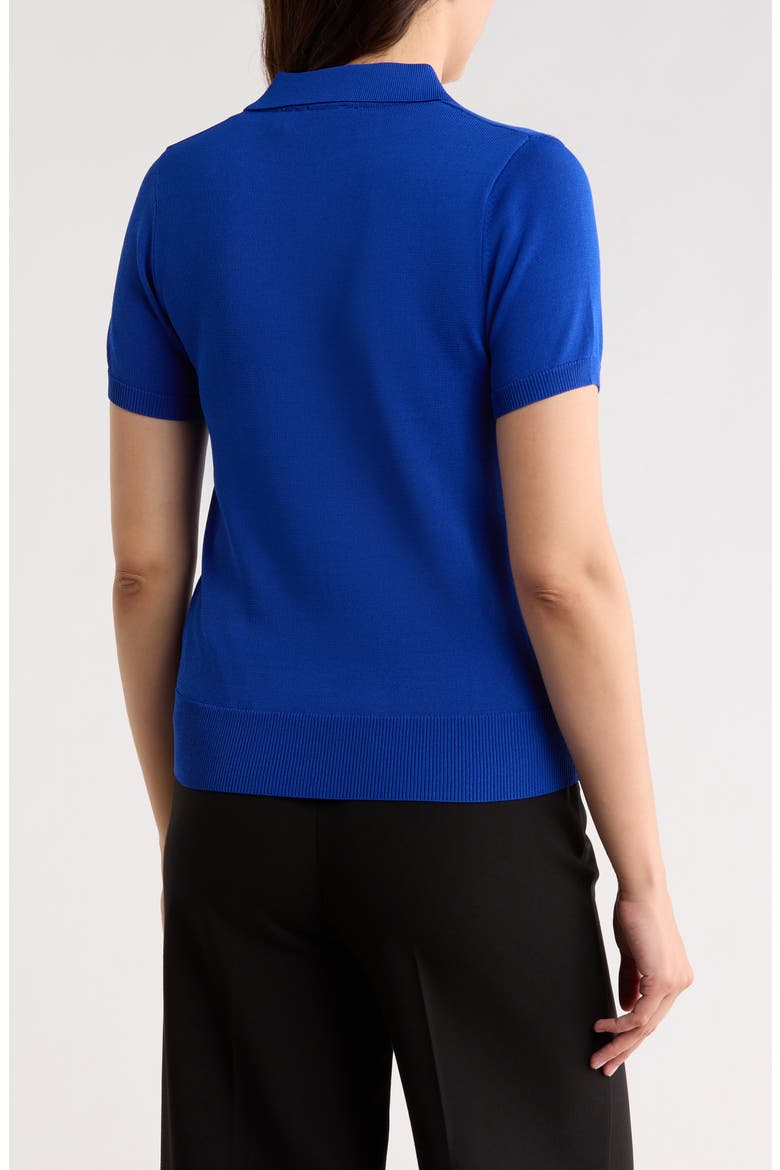 Polo Sweater, Alternate, color, ROYAL BLUE