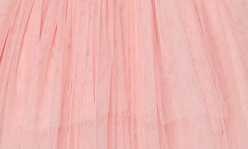TUTU DU MONDE TUTU DU MONDE KIDS' GARDEN'S GATE EMBELLISHED TUTU PARTY DRESS