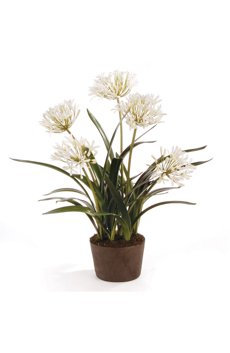 Napa Home & Garden Agapanthus Drop-In Faux (Fake) 29", Main, color, 