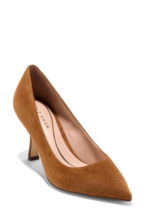 Cole Haan Vivica Pointed Toe Pump In Brown