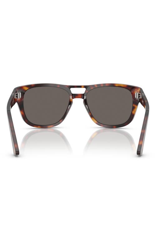 Persol 55mm Square Sunglasses In Havana