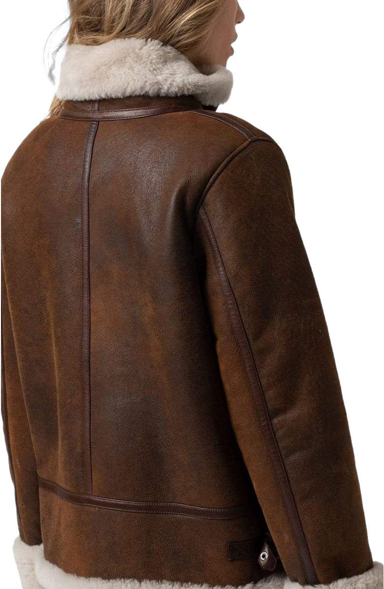Saint + Sofia Amelia Aviator Jacket, Alternate, color, Brown