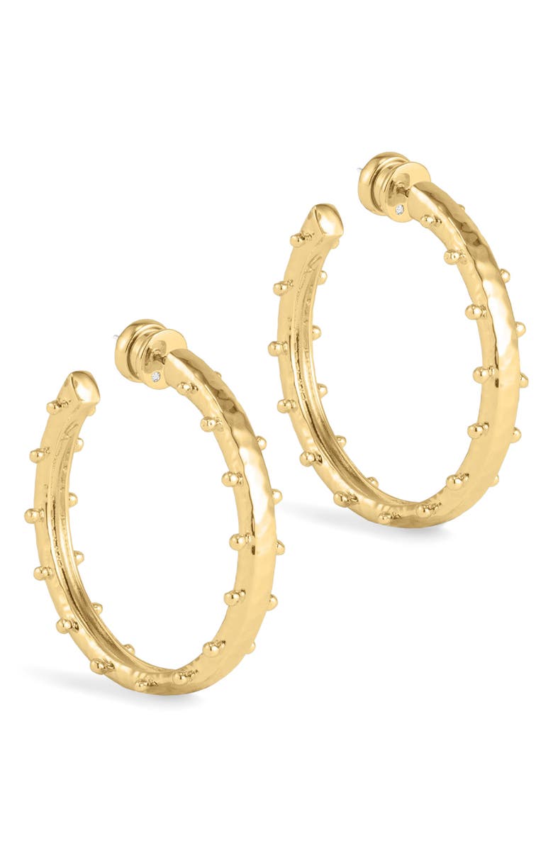 Anabel Aram Jewelry Medium Milos Hoop Earrings, Main, color, Gold