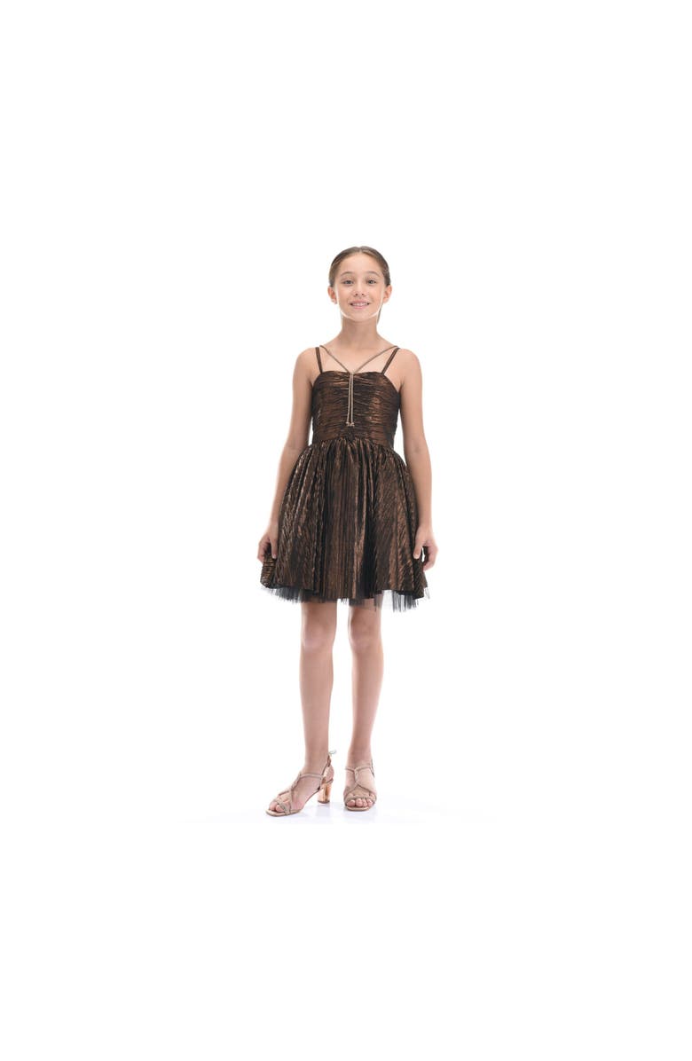 Tulleen Gianotta Dress, Alternate, color, Bronze