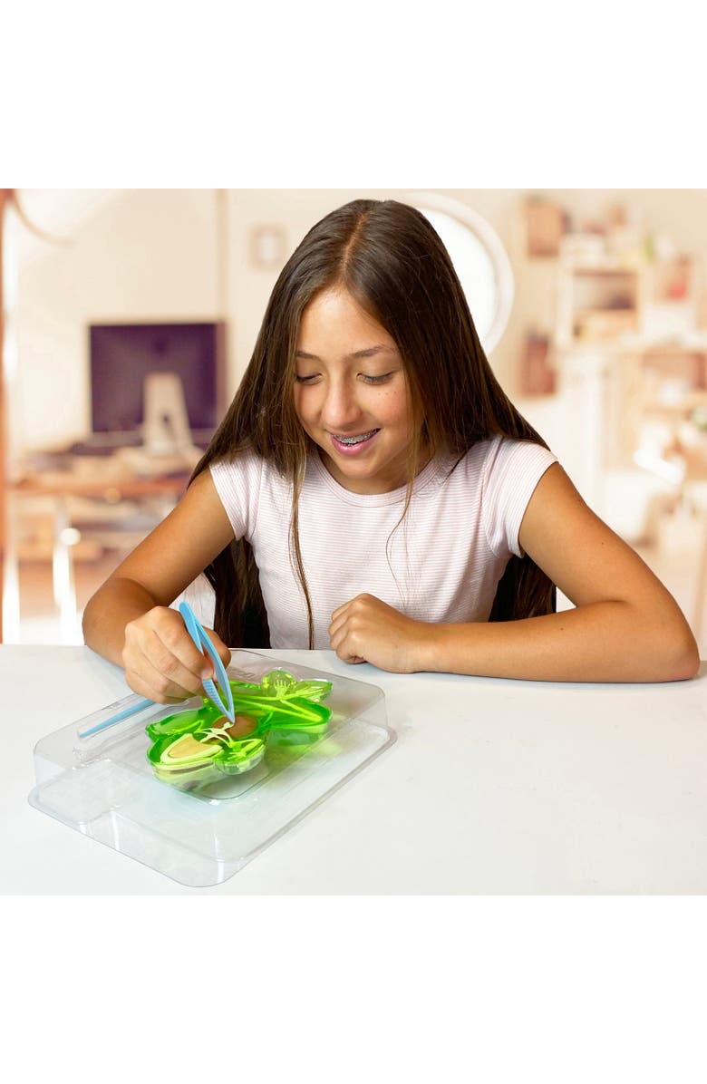 Dissect-It Dissect it Frog Lab, Science Kit, Ages 6+, Alternate, color, Multicolored