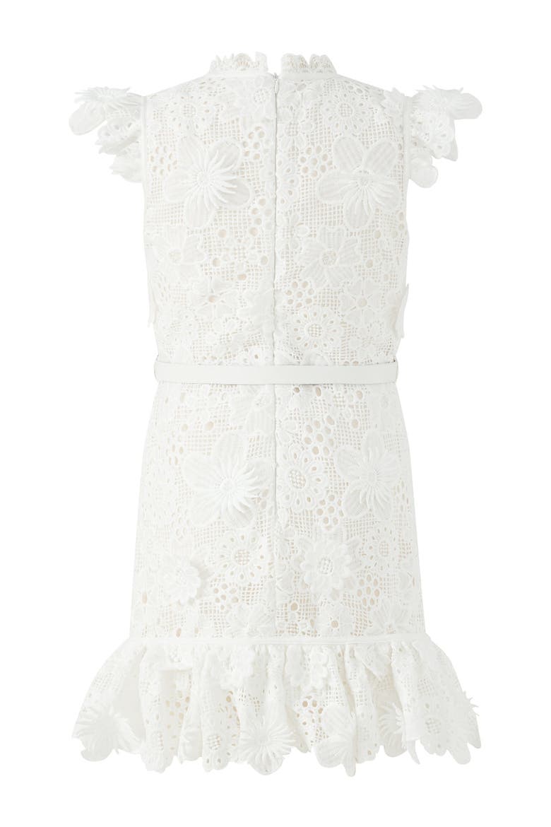 Lucinda Embroidered Mini Dress, Alternate, color, Ivory