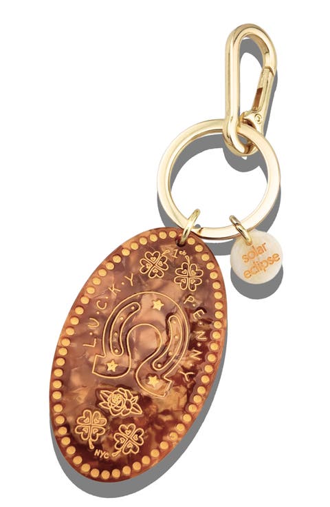 Lucky Penny Key Ring Bag Charm
