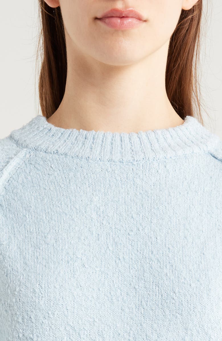 PacSun Snug Raglan Sleeve Crop Sweater, Alternate, color, Celestial Blue