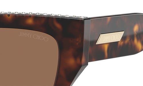 Jimmy Choo 54mm Cat Eye Sunglasses In Havana/dark Brown