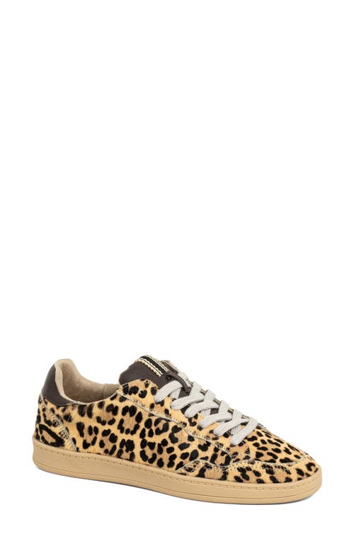 Shushop Roma Genuine Calf Hair Sneaker In Multi