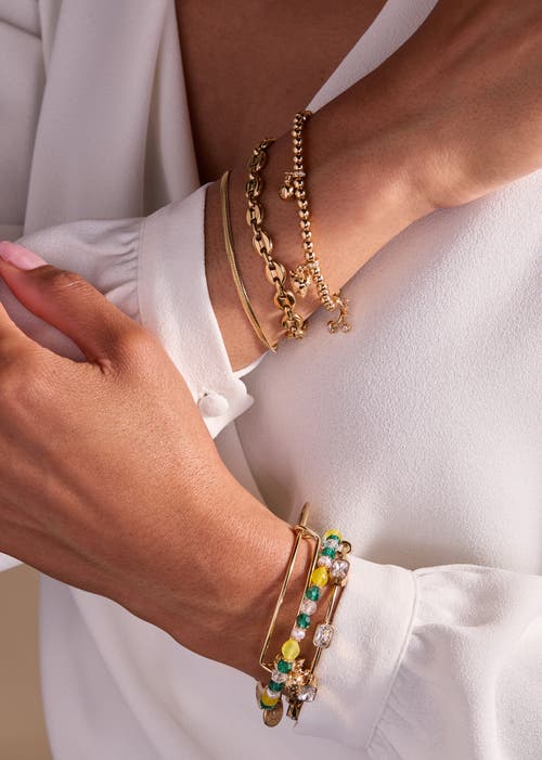 Alex And Ani Summer Fruits Charm Stretch Bracelet