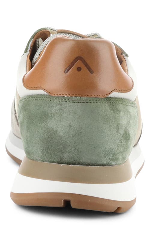 AMBITIOUS AMBITIOUS 12554A LOW TOP SNEAKER
