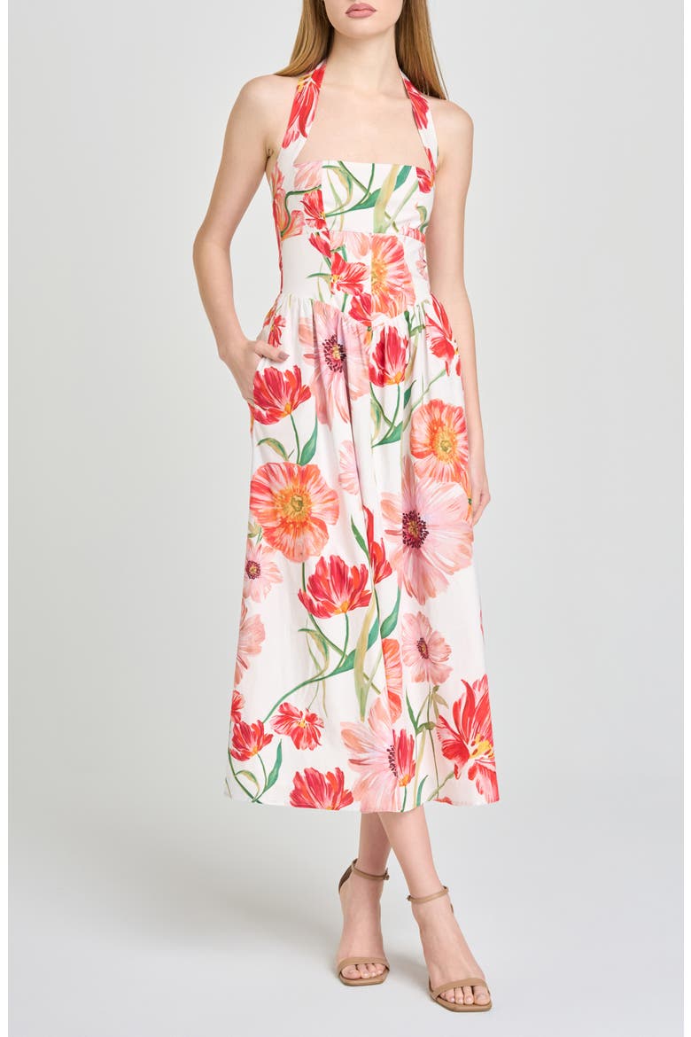 Camellia Floral Halter Neck Stretch Cotton Dress, Main, color, IVORY POPPIES