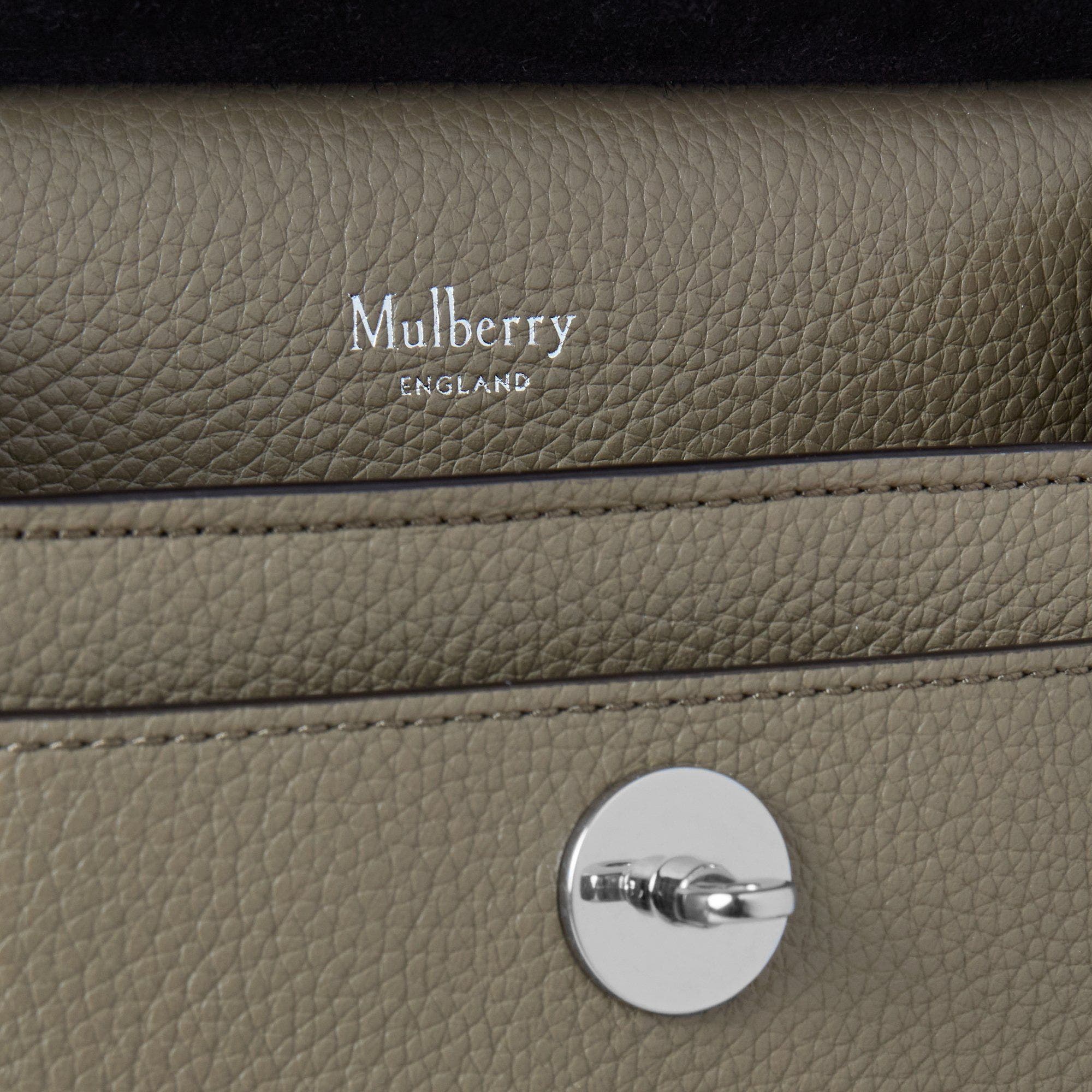 Mulberry Small Antony, Alternate, color, 