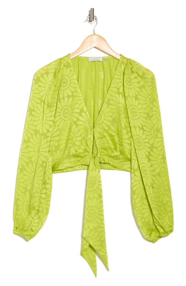 Ramy Brook Briana Plunge Neck Tie Front Top, Alternate, color, Lime Daisy Burnout