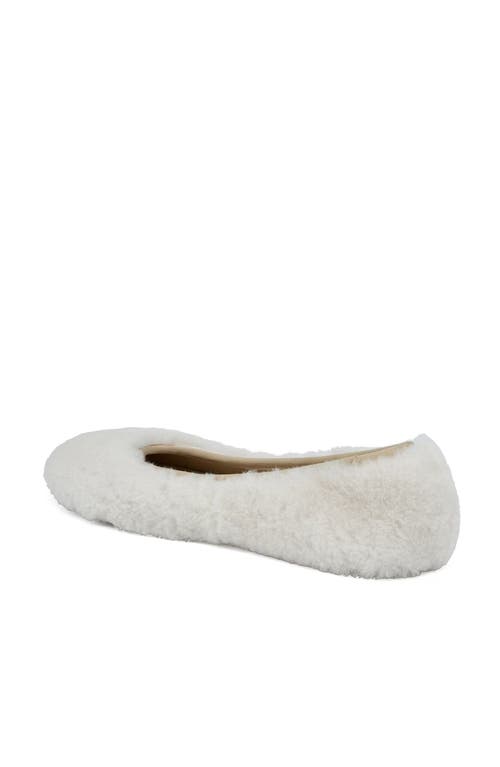 Grace Footwear Reims Ballerina In Multi