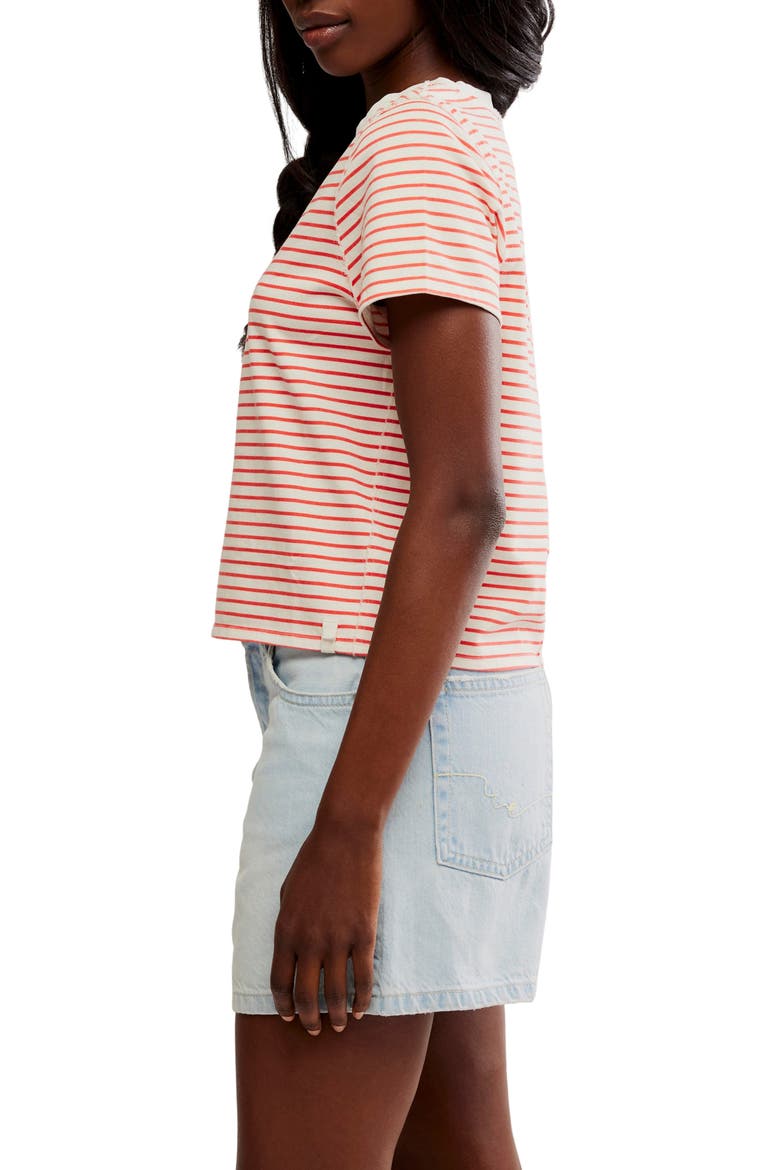 Everyday Stripe Cotton T-Shirt, Alternate, color, IVORY COMBO