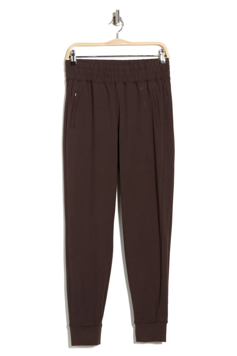Lux District Zip Pocket Joggers, Alternate, color, CHOCOLATE TORTE