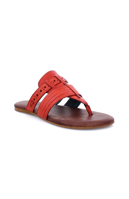 Roan Mixia Sandal In Animal Print