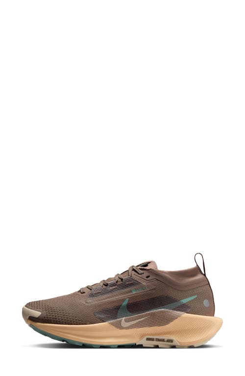 Nike Pegasus Trail 5 Gore-tex® Waterproof Running Shoe In Multi