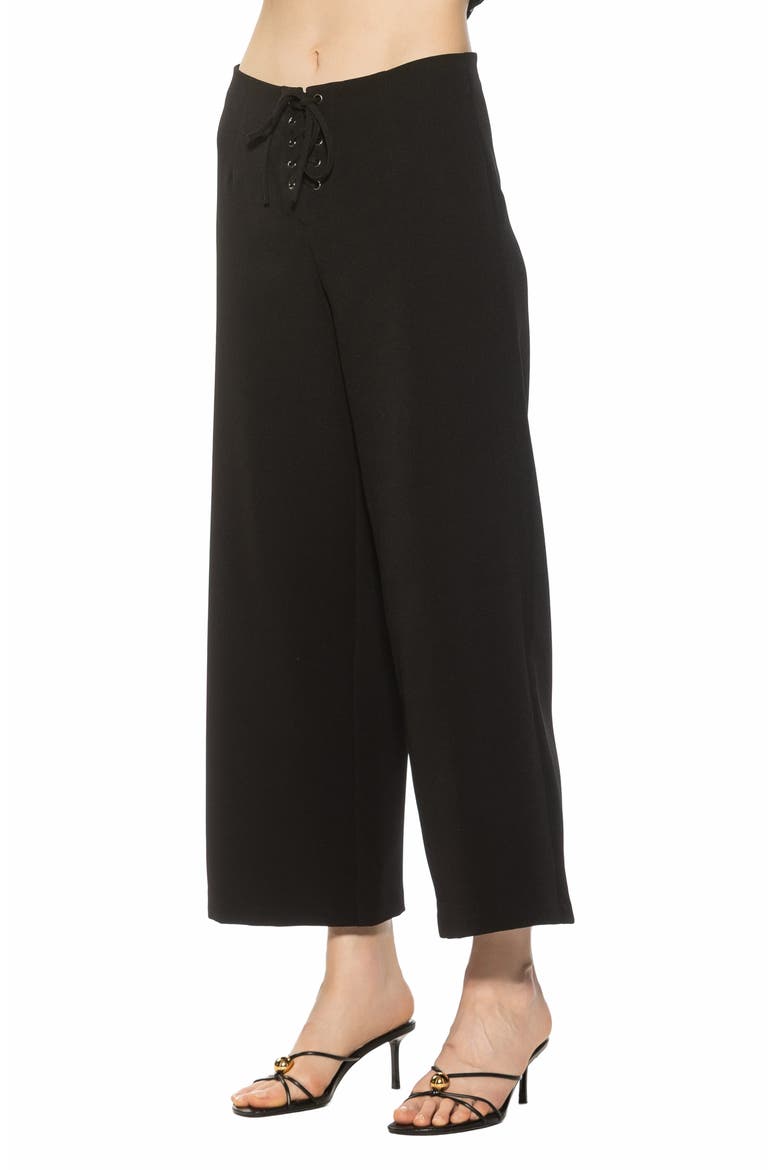 Lucia Lace-Up Wide Leg Pants, Alternate, color, BLACK