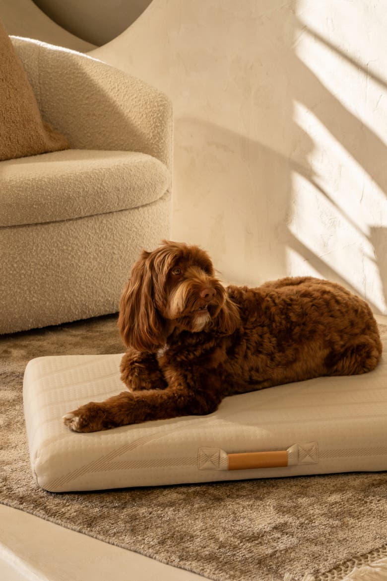 Brigette Romanek by LAY LO  Luxury Dog Bed, Alternate, color, Neutral Cream