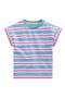 selected Blue Stripe