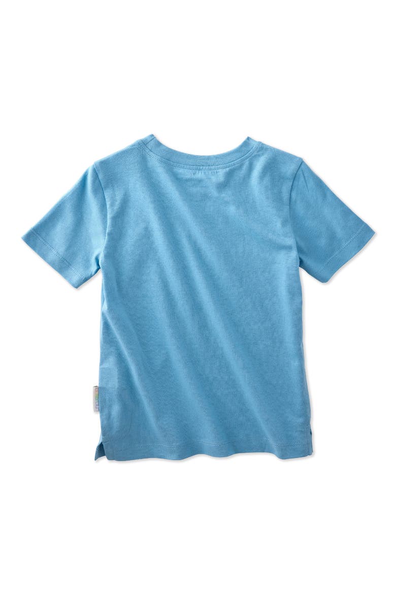 Taylor Assorted 10-Pack Organic Cotton T-Shirts, Alternate, color, SUNNY BLUE RAINBOW