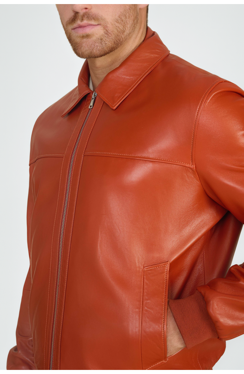 Furniq UK Mason Leather Bomber Jacket, Alternate, color, Whiskey