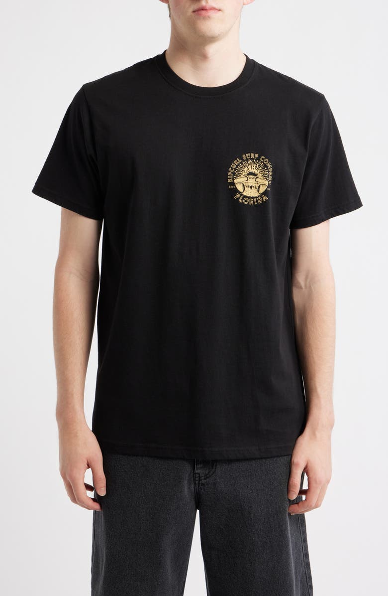 Rip Curl Sunrise Logo Cotton T-Shirt, Main, color, Black Florida