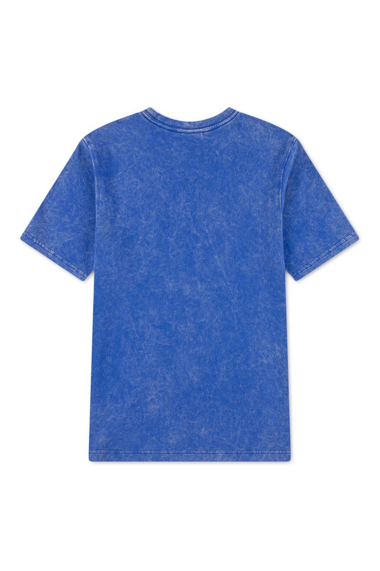 Kids' Jumpman Embroidered Cotton T-Shirt, Alternate, color, GAME ROYAL