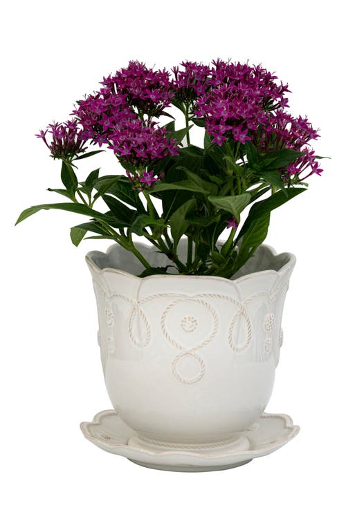 Juliska Jardins Du Monde Whitewash 7.5 Planter In Whitewash