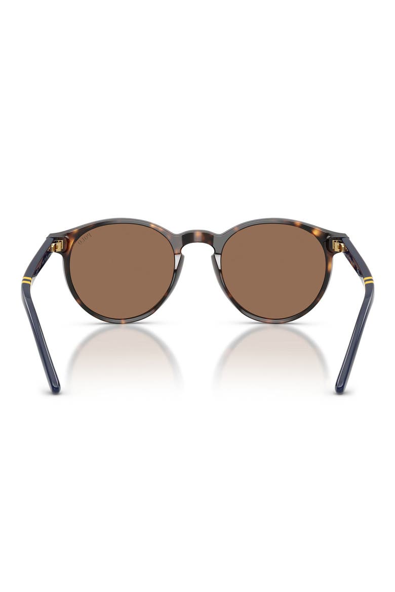 50mm Round Sunglasses, Alternate, color, SHINY DARK HAVANA / BROWN