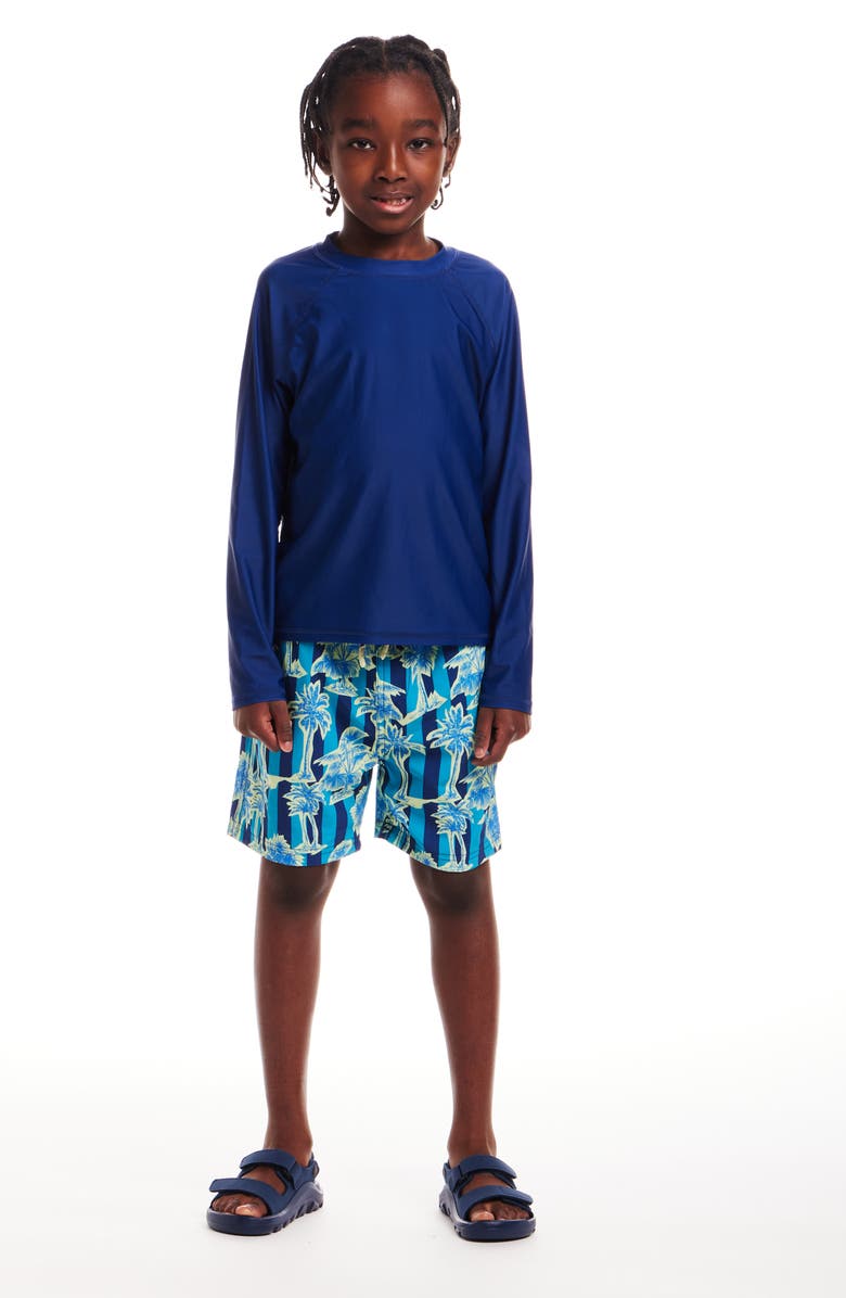 Andy & Evan Kids' Long Raglan Sleeve Rashguard, Alternate, color, 