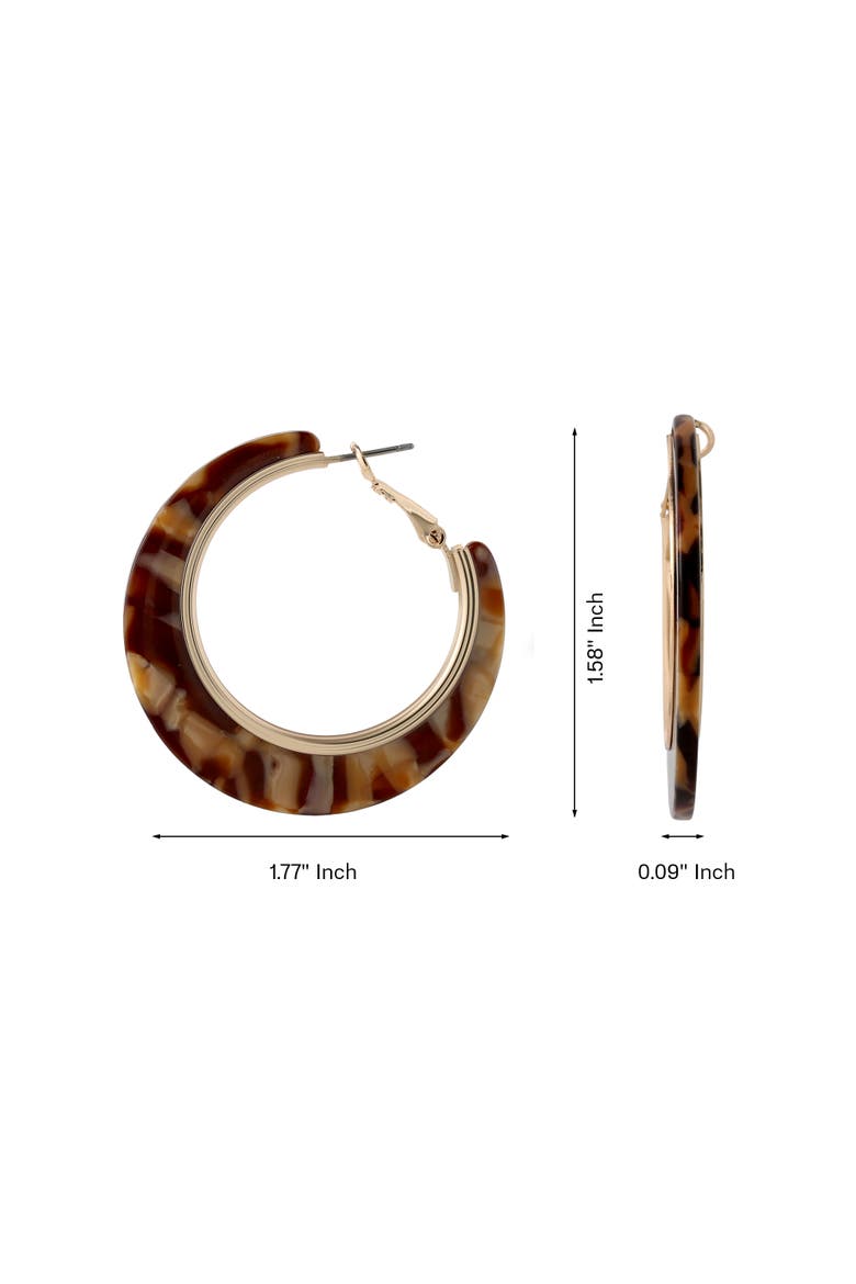 Hoop Earrings for Women Gold-Tone, Earth-Toned Hoops, Alternate, color, Gold-Tone