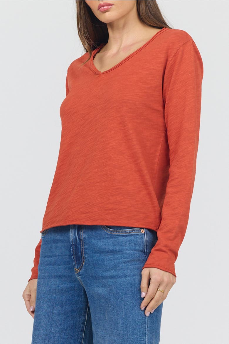 Vanya Long Sleeve V-Neck Slub Knit T-Shirt, Alternate, color, Rooibos Tea