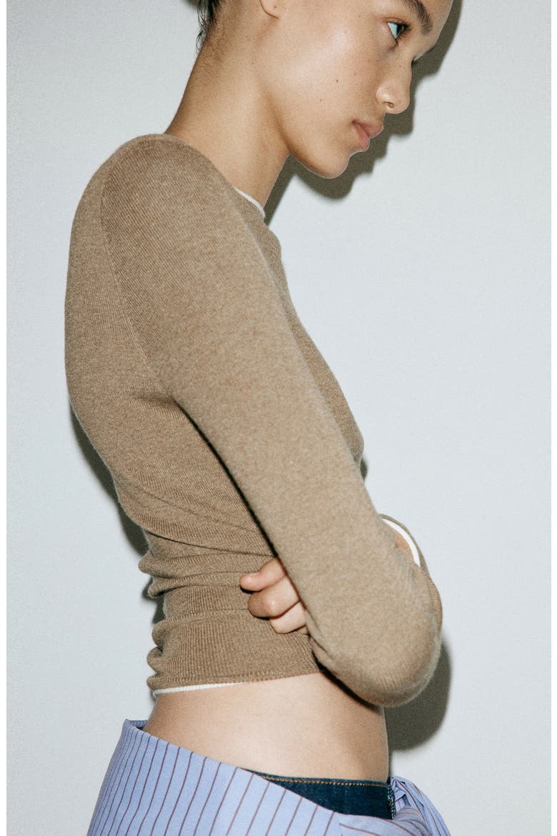 Contrast Trim Crewneck Sweater, Alternate, color, MEDIUM BROWN