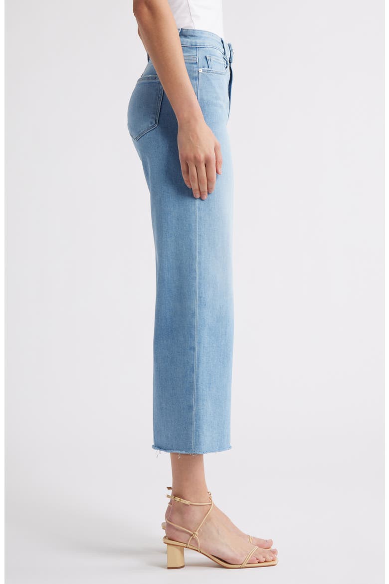 Anessa High Waist Raw Hem Wide Leg Ankle Jeans, Alternate, color, LUMINARIES