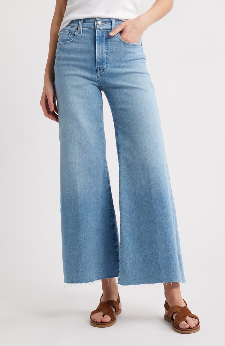 Madewell Palazzo Wide Leg Jeans, Main, color, 
