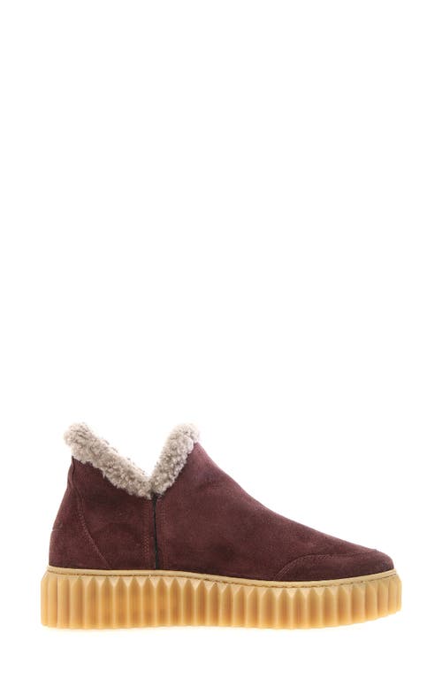 Voile Blanche Luna Genuine Shearling Lined Bootie In Burgundy