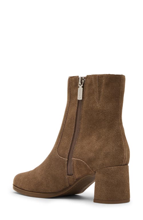 Blondo Hylia Waterproof Bootie In Multi